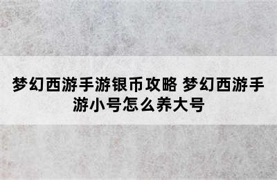 梦幻西游手游银币攻略 梦幻西游手游小号怎么养大号